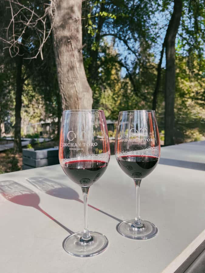 Santiago: Concha y Toro with transfer, tasting & gift cup - Inside the Casillero del Diablo cellar