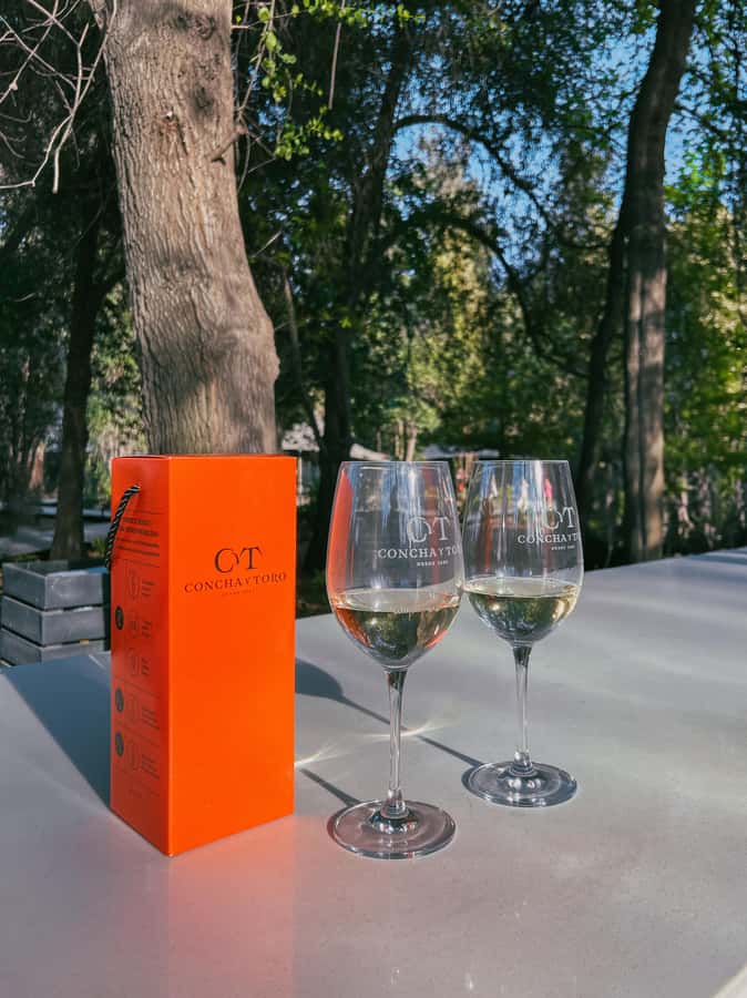 Santiago: Concha y Toro with transfer, tasting & gift cup - Three wines and the gift glass