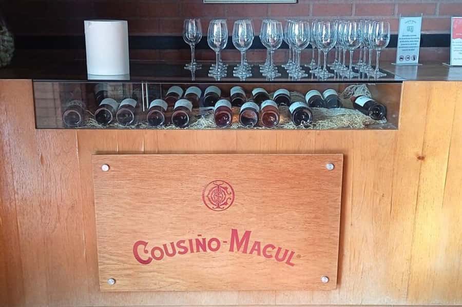 Santiago: Cousiño Macul Vineyard Premium Tasting Tour - Seven glasses, not just three
