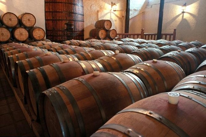 Santiago Full day tour to Maipo Valley, include entraces - Two Maipo Valley wineries in one day