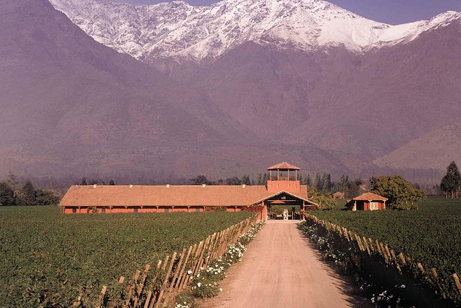 Santiago Full day tour to Maipo Valley, include entraces - Concha y Toro: polished, famous, and more commercial