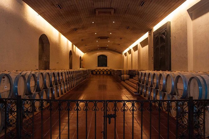 Santiago Full day tour to Maipo Valley, include entraces - Undurraga: the more historic first stop