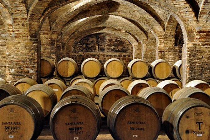 Santiago: Full day visiting Santa Rita & Undurraga vineyards. Entraces included - Transport from Santiago: useful, but verify the details