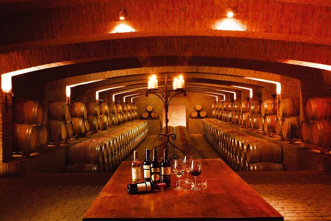 Santiago: Full day visiting Santa Rita & Undurraga vineyards. Entraces included - Practical timing, closures, and cancellation