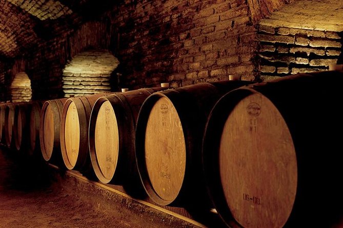 Santiago: Half day visit to Concha y Toro vineyard, include entrace & transport - Key things to know before booking