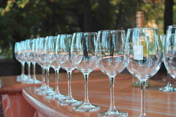 Santiago: Half day visit to Concha y Toro vineyard, include entrace & transport - Walking through the old park and Casona de Pirque