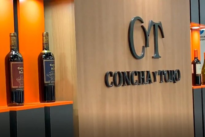 Santiago: Half day visit to Concha y Toro vineyard, include entrace & transport - Vines, production, and the Casillero del Diablo cellar
