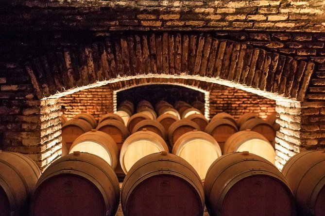 Santiago: Half day visit to Concha y Toro vineyard, include entrace & transport - Who will enjoy this afternoon best