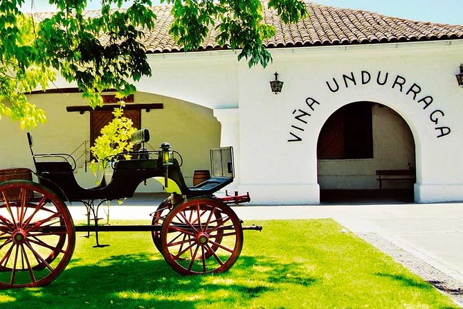 Santiago: Half day Visit to Undurraga vineyard, entrance and transport included - The Aliwen corner and Chilean identity