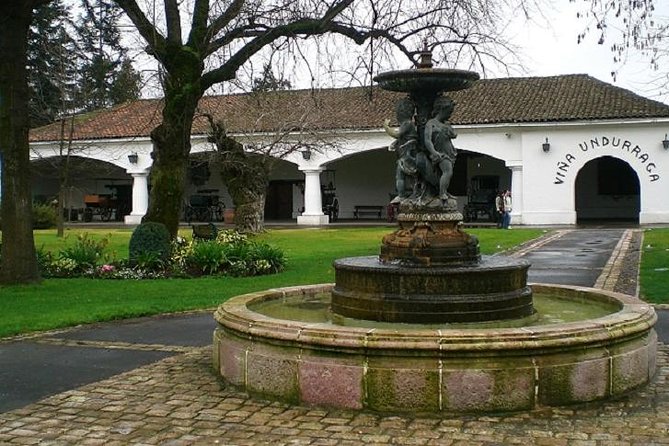 Santiago: Half day Visit to Undurraga vineyard, entrance and transport included - The winery shop and buying a bottle