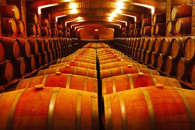 Santiago: Half day Visit to Undurraga vineyard, entrance and transport included - English service needs a careful check