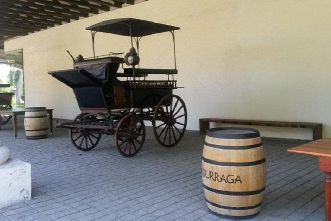 Santiago: Half day Visit to Undurraga vineyard, entrance and transport included - Walking through the estate’s older and newer sides
