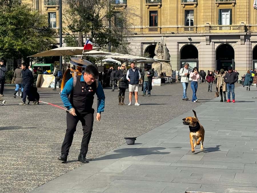 Santiago Half-Day Walking Tour with Hotel Pick up & Brunch - Five things to know before booking