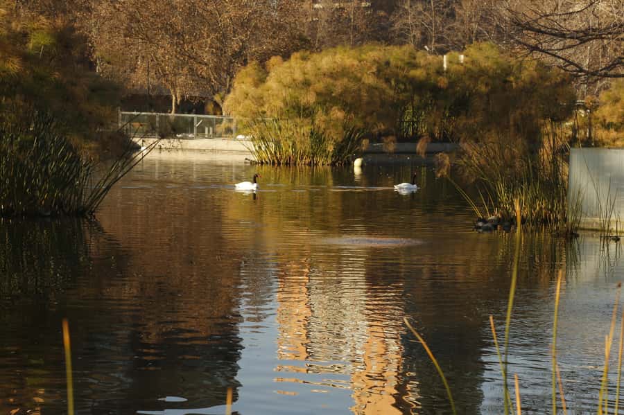 Santiago Half-Day Walking Tour with Hotel Pick up & Brunch - Bellavista, the Mapocho, and the road downtown