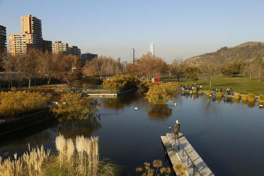Santiago Half-Day Walking Tour with Hotel Pick up & Brunch - Plaza de Armas and the Metropolitan Cathedral