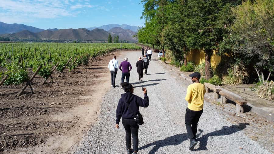 Santiago: Inca Lagoon Tour with Local Vineyard and Tasting - Timing, comfort, and who should book