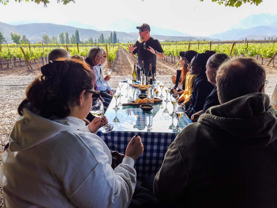 Santiago: Inca Lagoon Tour with Local Vineyard and Tasting - Los Libertadores and Guardia Vieja on the return
