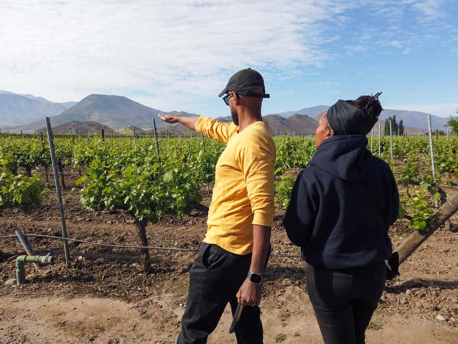 Santiago: Inca Lagoon Tour with Local Vineyard and Tasting - What $79 really covers