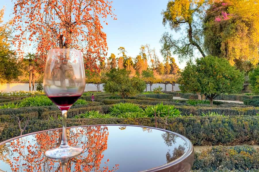 Santiago: Main Chilean Wineries Private Half-Day Tours - Key points to know before booking