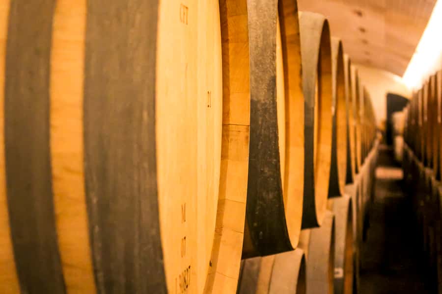 Santiago: Main Chilean Wineries Private Half-Day Tours - Concha y Toro, gardens, grapes, and Casillero del Diablo
