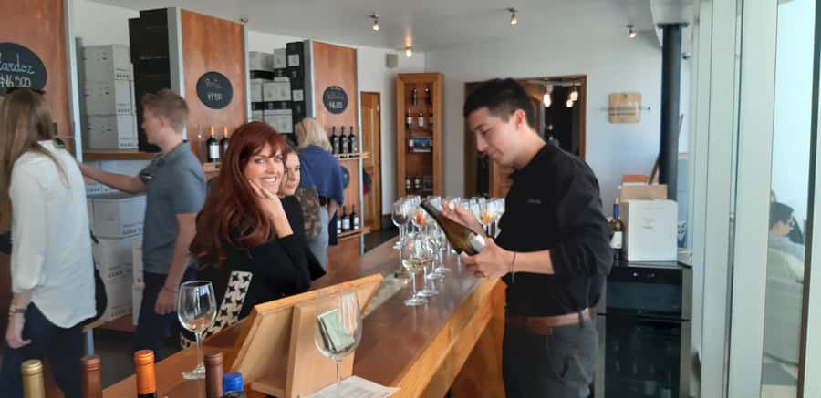 Santiago: Main Chilean Wineries Private Half-Day Tours - What the guide and group size add to the day