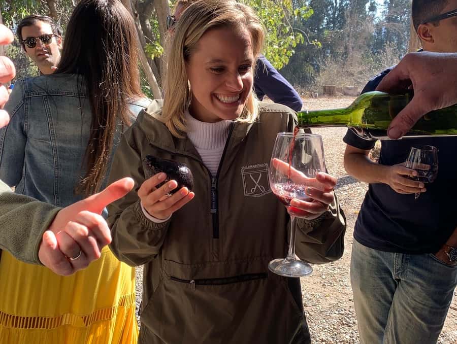 Santiago: Maipo Valley Wine Tasting Tour with 4 Vineyards - Key points to know before you book