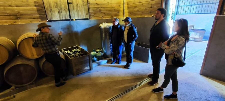 Santiago: Maipo Valley Wine Tasting Tour with 4 Vineyards - Who should book this wine tour?