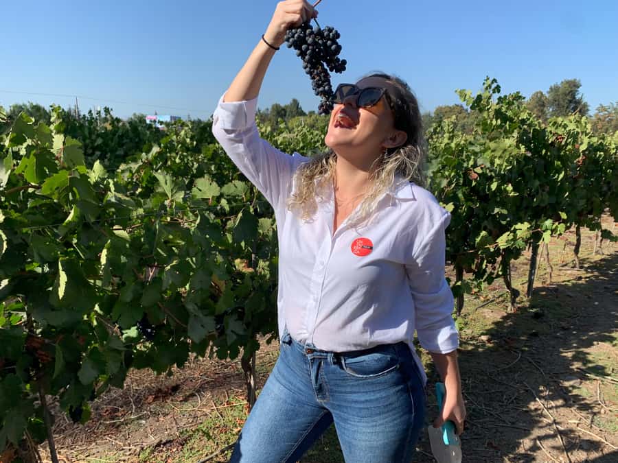 Santiago: Maipo Valley Wine Tasting Tour with 4 Vineyards - Campo La Quirinca: a farm before it is a winery