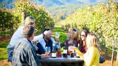 Maipo Valley Wine Tasting Tour with 4 Vineyards