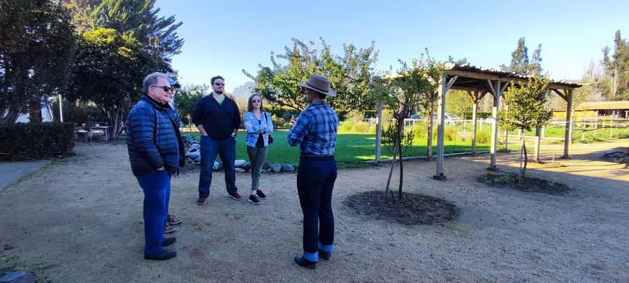 Santiago: Maipo Valley Wine Tasting Tour with 4 Vineyards - TerraMater: lunch, olive oil, and a necessary pause
