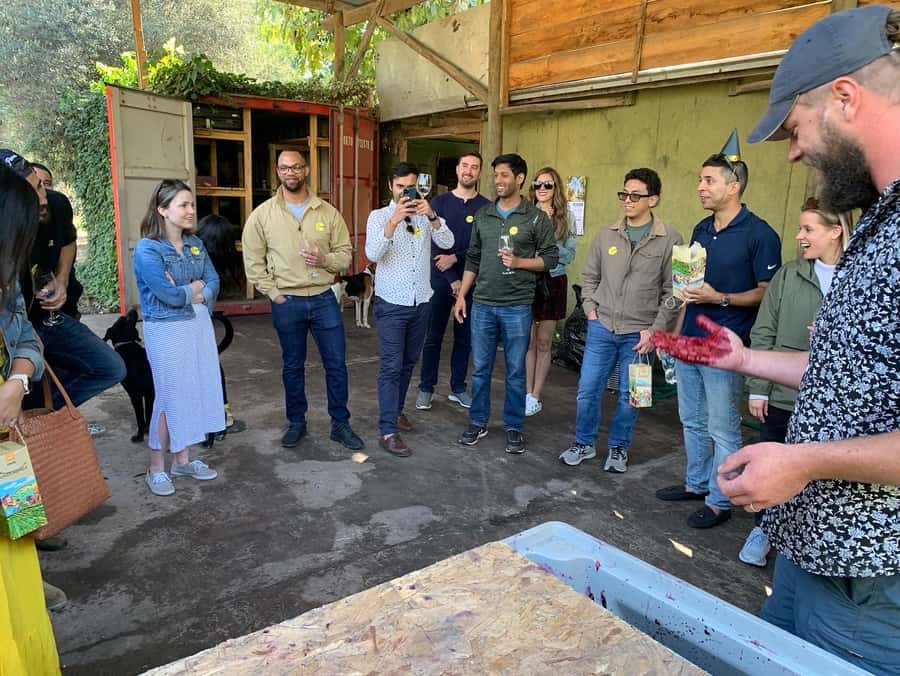 Santiago: Maipo Valley Wine Tasting Tour with 4 Vineyards - Wine, food, and pacing across the day