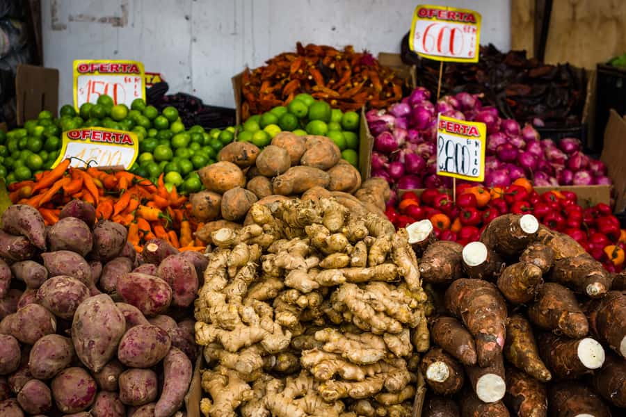 Santiago: Markets Bike Tour - La Chascona and the world of Pablo Neruda