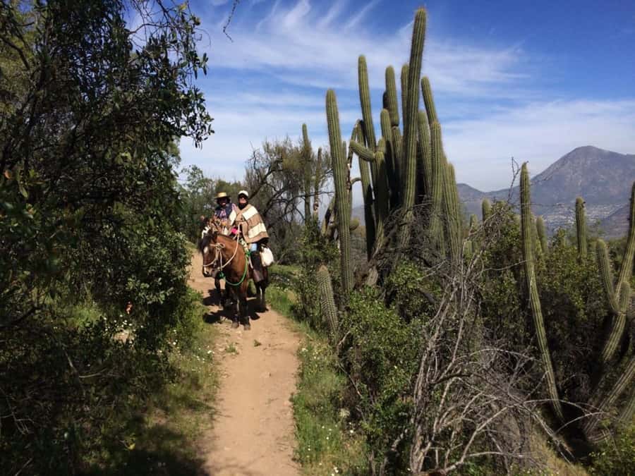 Santiago: Private Andes Foothills Horseback Riding. Half day - Riding through native forest at 9:40 AM