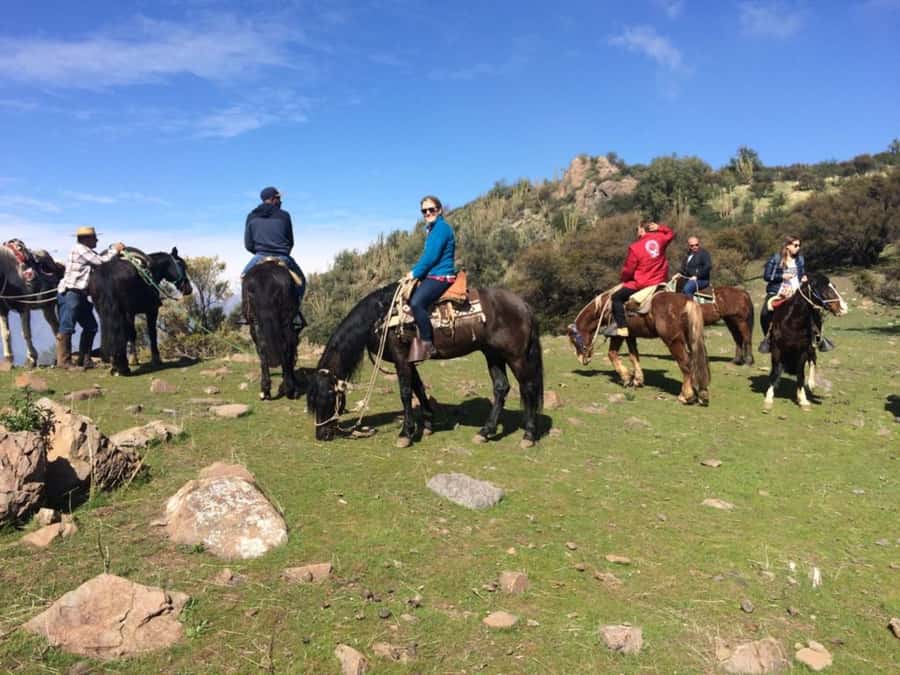 Santiago: Private Andes Foothills Horseback Riding. Half day - Meeting the horses and getting comfortable