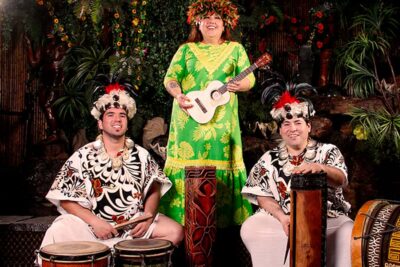 Private Dinner & Chilean Folk Show with Transfers
