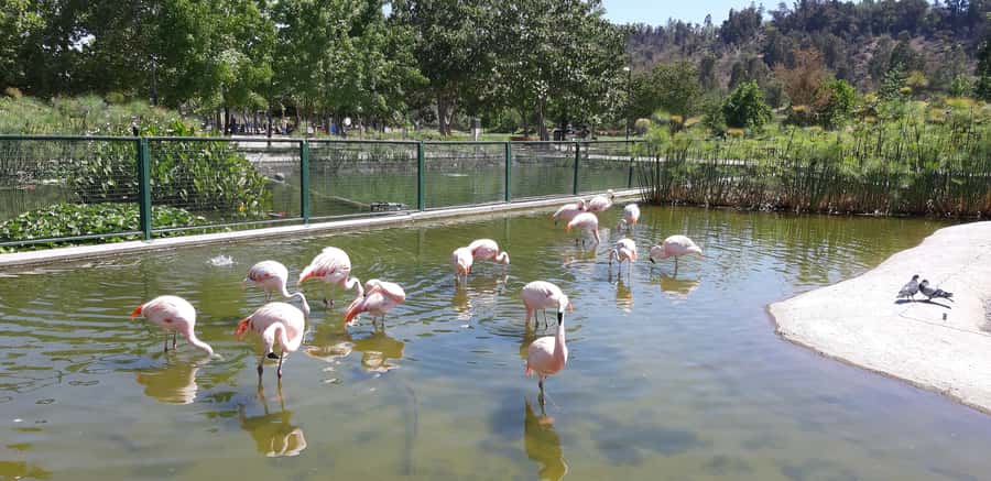 Santiago: Private Half-Day City Tour - Starting with Santiago’s modern city life