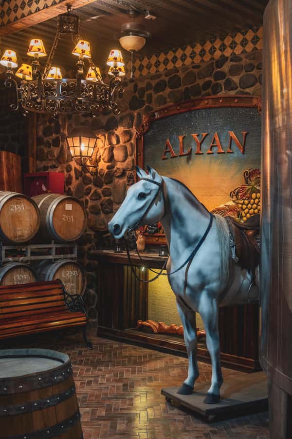 Santiago: Sunset at Vinicola Alyan Family - Key points at a glance