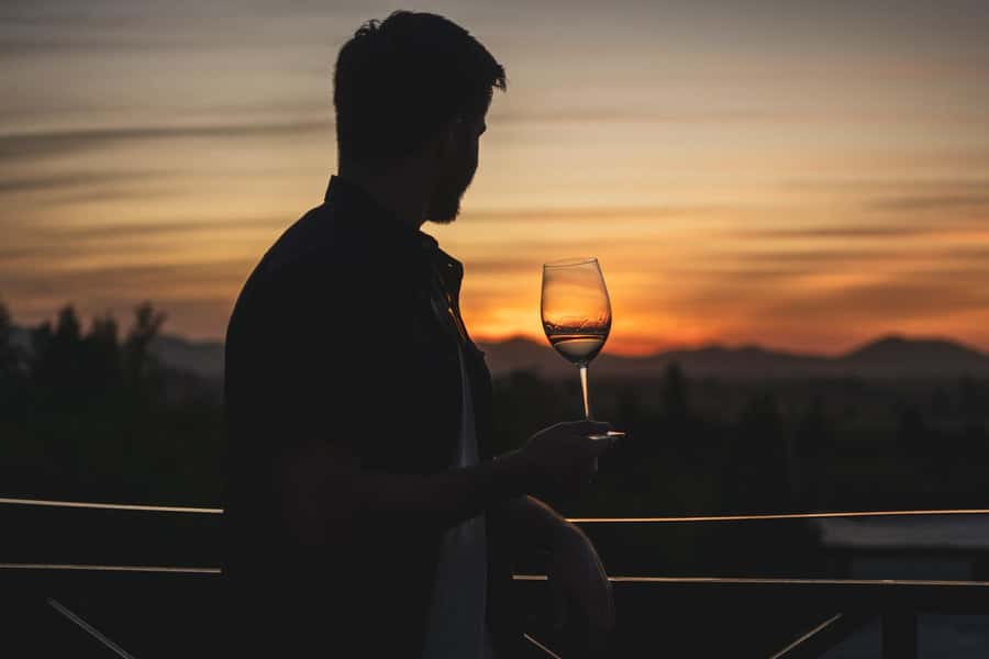 Santiago: Sunset at Vinicola Alyan Family - What the $150 price really covers