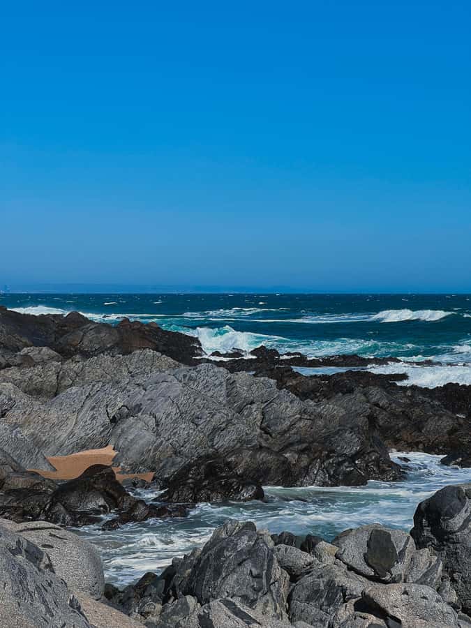 Santiago: Tour to Isla Negra, Algarrobo and Undurraga Wines - Isla Negra and Pablo Neruda’s oceanfront home