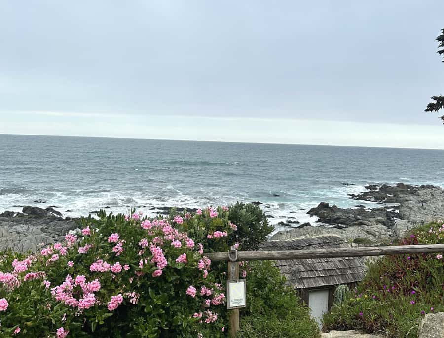 Santiago: Tour to Isla Negra, Algarrobo and Undurraga Wines - Should you book the Isla Negra and wine tour?