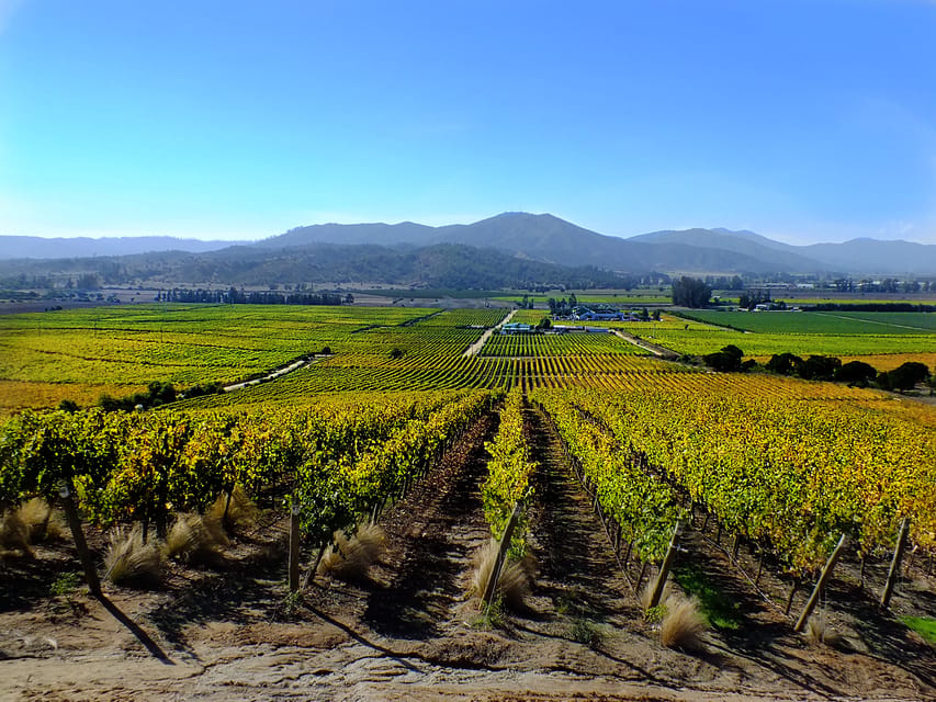 Santiago: Tour to Valparaiso and Casablanca - Casablanca Valley and the wine tasting