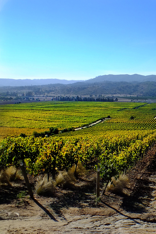 Santiago: Tour to Valparaiso and Casablanca - Is $109 a fair price?