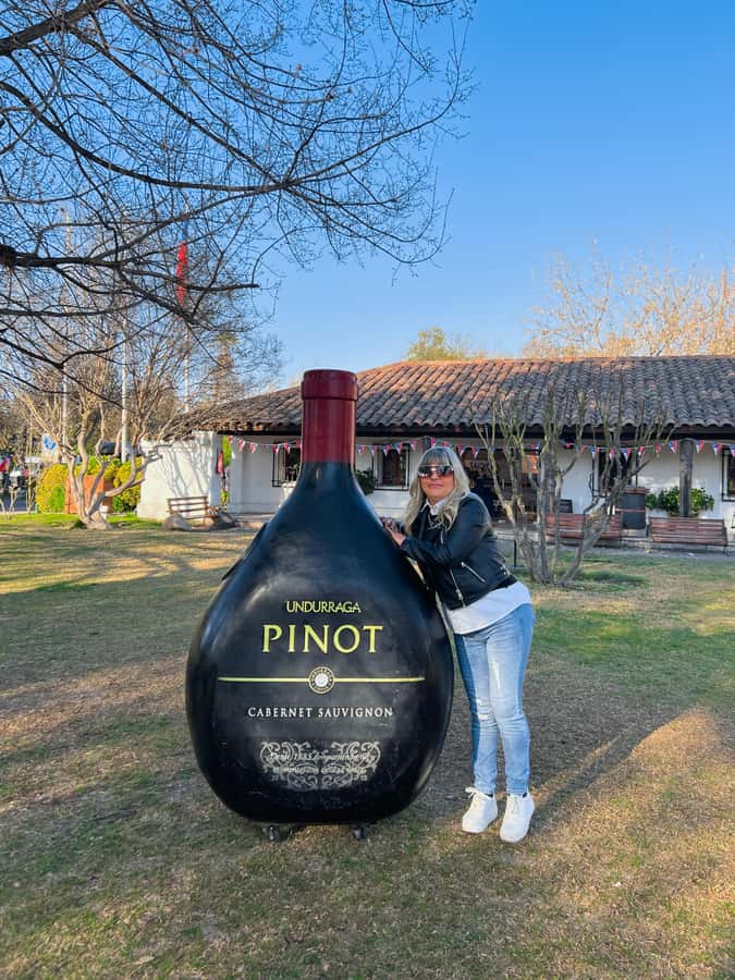 Santiago: Undurraga Winery Tour with Entry and Wine Tasting - Key points to know before booking