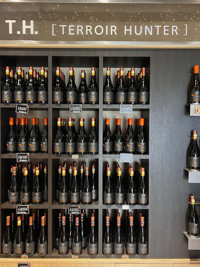 Santiago: Undurraga Winery Tour with Entry and Wine Tasting - Practical booking advice for Santiago