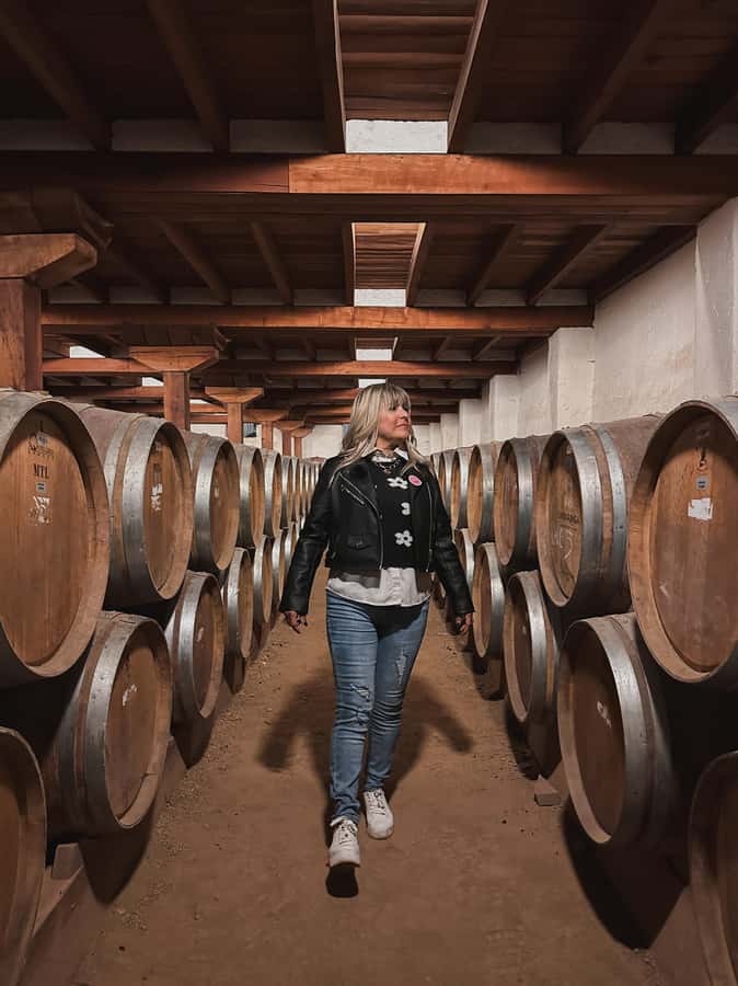Santiago: Undurraga Winery Tour with Entry and Wine Tasting - Why Undurraga makes a good Santiago side trip