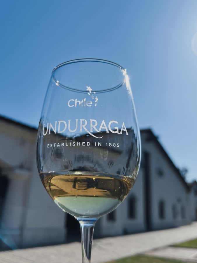 Santiago: Undurraga Winery Tour with Entry and Wine Tasting - Four wines in a one-hour tasting