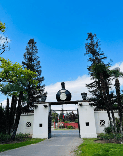 Santiago: Undurraga Winery Tour with Entry and Wine Tasting - Thirty minutes in the Undurraga shop