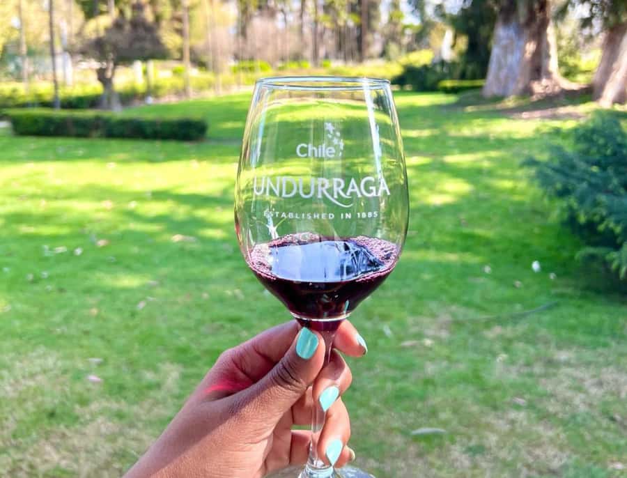 Santiago: Undurraga Winery Tour with Entry and Wine Tasting - Timing, guides, and the real length of the outing