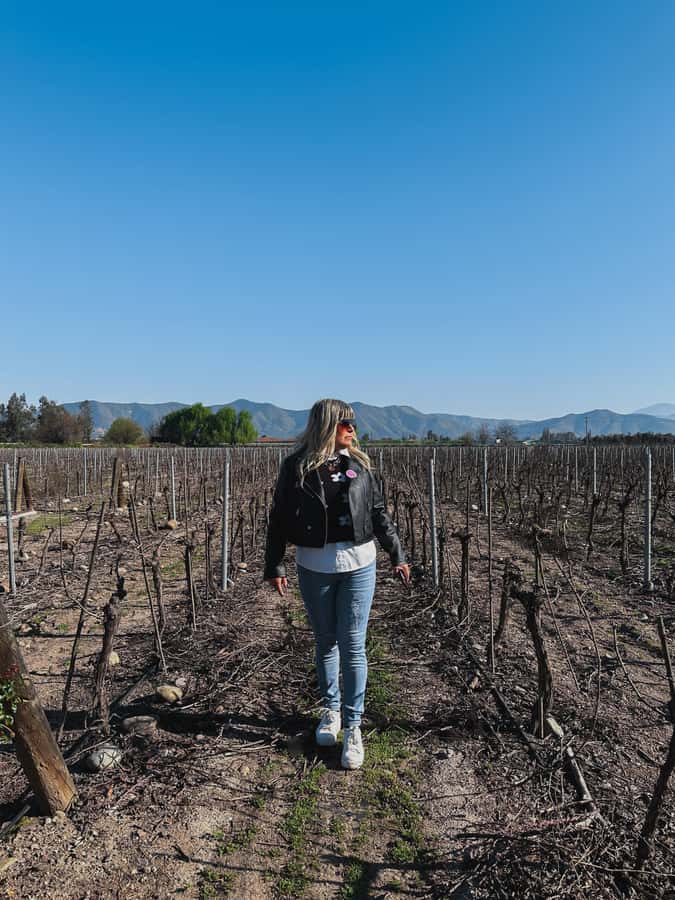 Santiago: Undurraga Winery Tour with Entry and Wine Tasting - Who will get the most from this tour