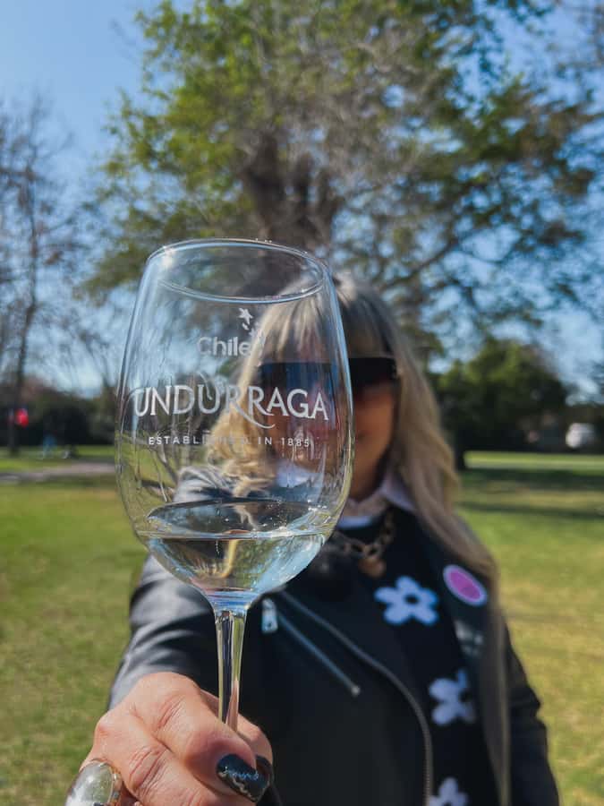 Santiago: Undurraga Winery Tour with Entry and Wine Tasting - The 40-minute ride from Santiago